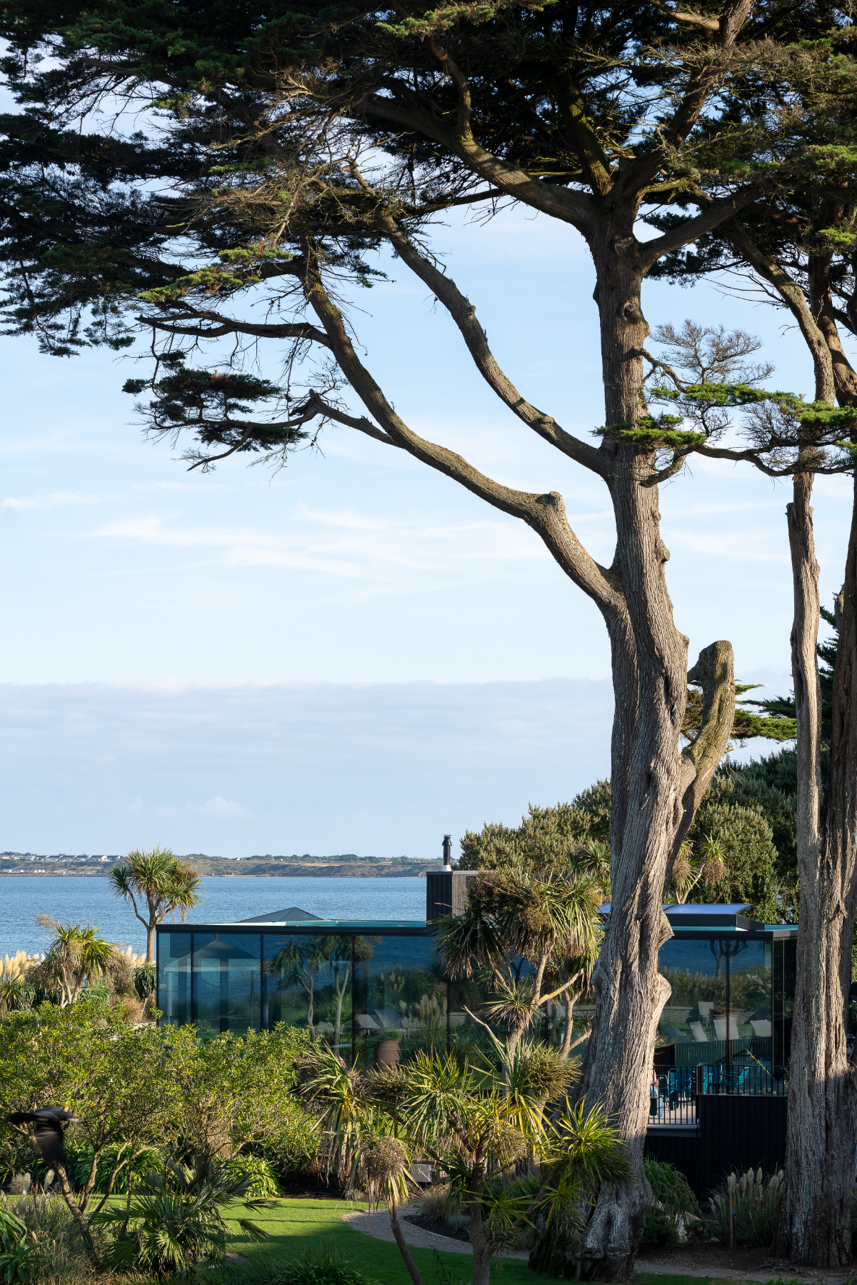 Sea Rooms