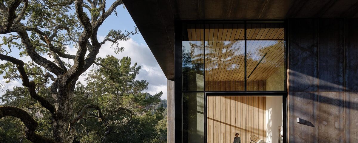  Modern concrete villa in forest